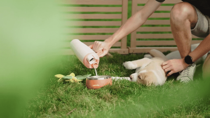 Owala Campaign Recap